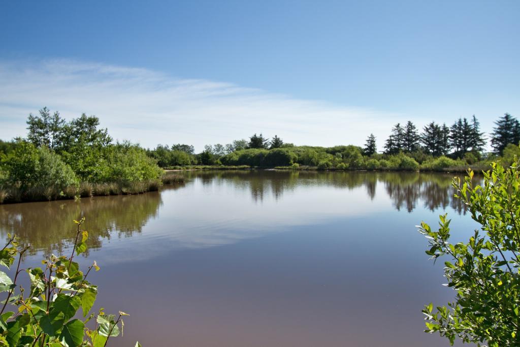 Egebjerggaard Bed & Breakfast Sig Quarto foto